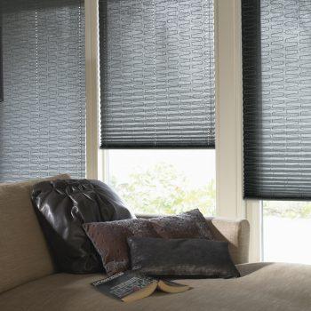 black pleated blinds