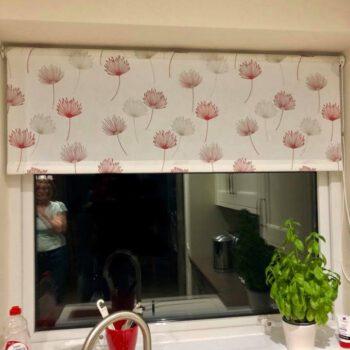 FB-52592622_2284515955143325_2719054730360782848_n